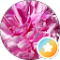 Erika Avatar